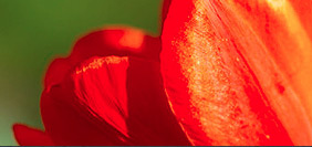 网页在线发短信平台