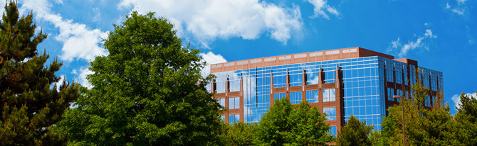 在线呼叫网页版软件