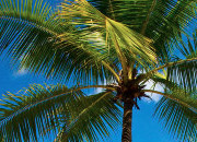 短信轰在线网页版入口